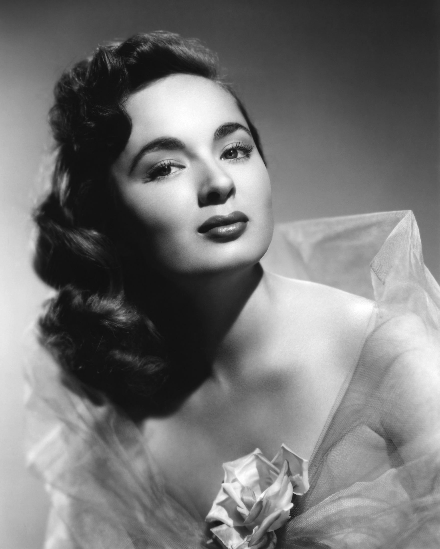 Ann Blyth - Images Colection